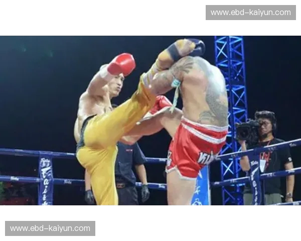 龙腾四海还是折戟沉沙?武林风一龙vs海耶斯:一场传统与现代的终极博弈 龙腾四海还是折戟沉沙?武林风一龙vs海耶斯:一场传统与现代的终极博弈